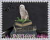 Spell Owl & Books