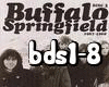 BuffaloDreamSpringfeild1