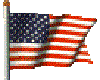 usa flag Animated