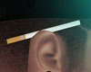 Cigarette ear ☓