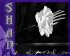 {SP}White Death Rose M/F