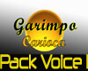 Garimpo Voices 1 BR MASC