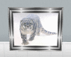 [JS]White Leopard Pic