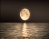 moon rising over water