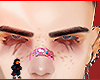 Polls brows
