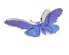 {LS}Blue butterfly Decor