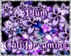 Plum Purple Plumeria