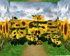 ^ Background Sun Flower