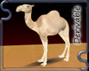 CAMEL ARABY