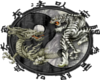 Tiger, dragon yin yang