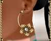 C| Kimora Earrings