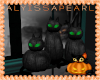 Bewitched Pumpkin Cats