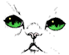 Cats-Green-Eyes