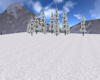 CRF* Snowy Mountains