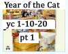 Year of the Cat pt1