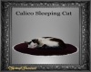 Calico Sleeping Cat
