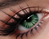 !B Divine Eyes GRN