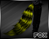 [FOX] Yellow Black Tail