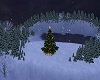 Christmas Forest 
