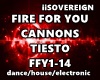 Fire For You Tiesto
