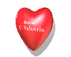 st valentines gift anima