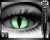 ![DS] V a M P |Green