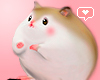 ! Chubby hammy brown