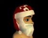 Santa  Hat Beard