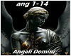 Angeli Domini + Lights