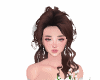 Brown  HAIR BRIDE