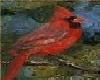 ~LWI~Cardinal
