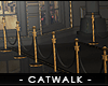 - fashion catwalk rug -