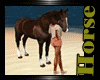 [cy] HORSE animated