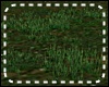 *Y* Garden Grass