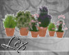 LEX plant pots