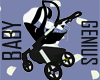 Carseat  & Stroller V13