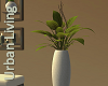 Plant  in Vase