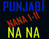 nana punjabi