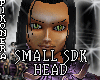 # ^P^#  SMALL HEAD SDK