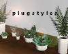 Luxe House Plants