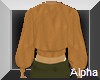 AO~Orange silk sweat top