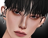 ✦ Rex