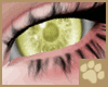 ~AM~ Jasar Eyes4 v2