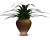 Beige Brown Vase w plant