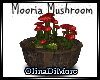 (OD) Mooria mushroom