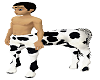 centaur M cow