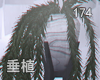 R. Zen Plant
