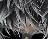 𝔁. Victr Anim REQ