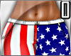 OZ-American Flag Bottom