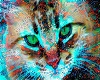 Cat Art 1